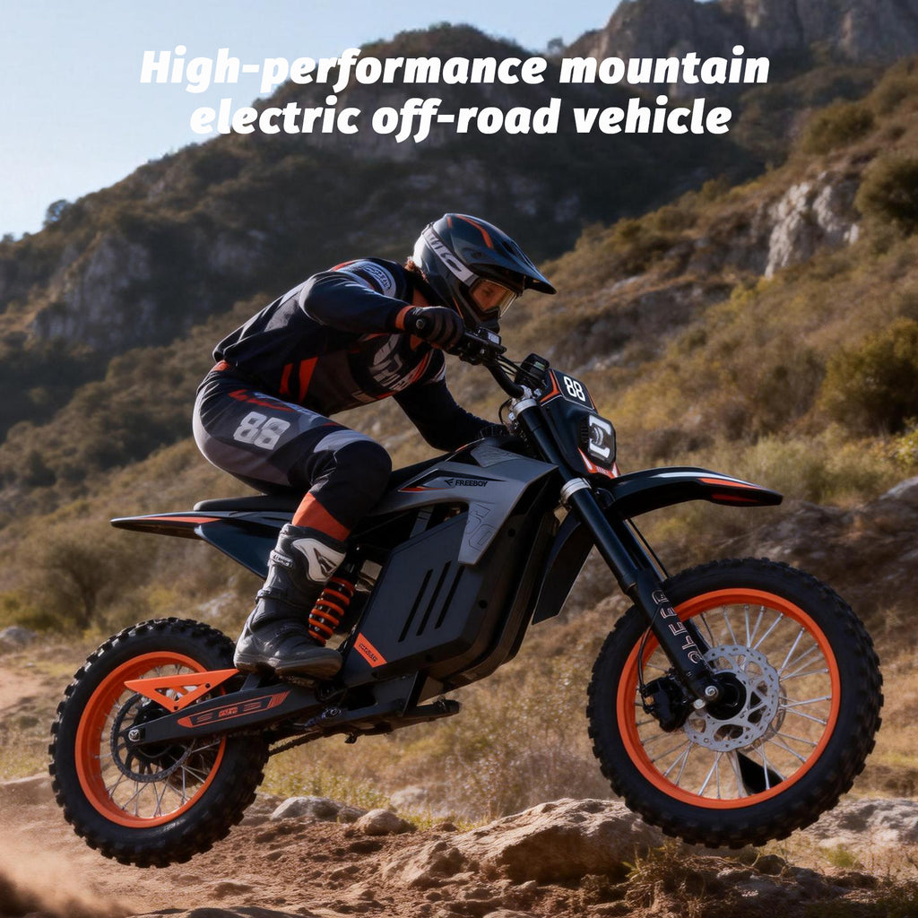 INDUX Electric Bike for Adults,3000W,50KM