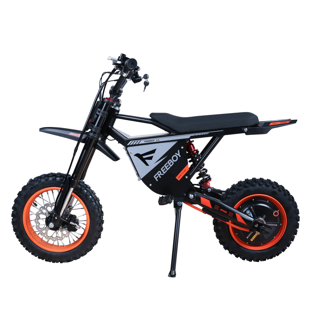 INDUX Electric Bike for Adults,3000W,50KM