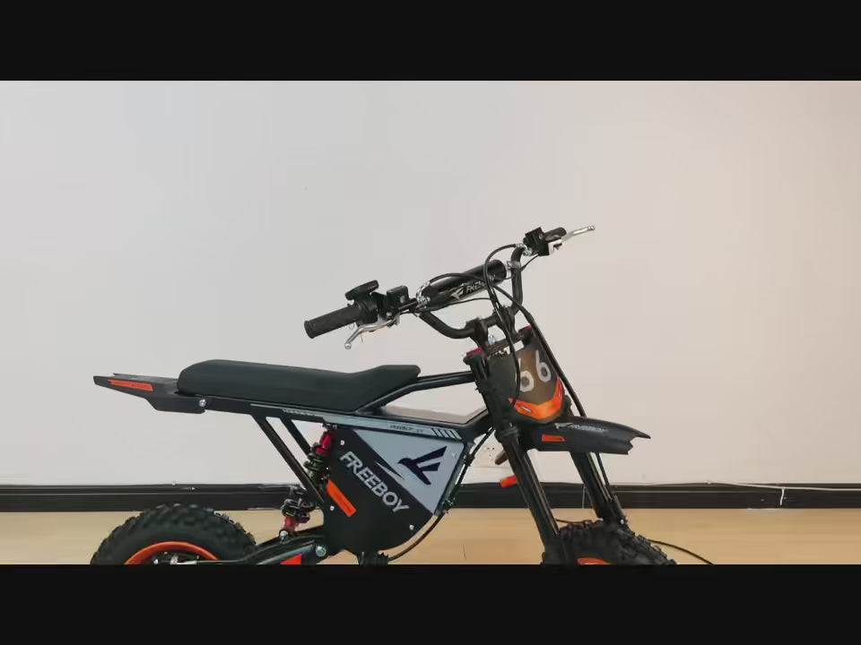 INDUX Electric Bike for Adults,3000W,50KM